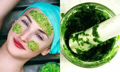 Привет девочки 👋
Погрузитесь в оазис свежести с маской для лица от LadyMari, сотканной исключительно из энергии микрозелени | Сетка — социальная сеть от hh.ru