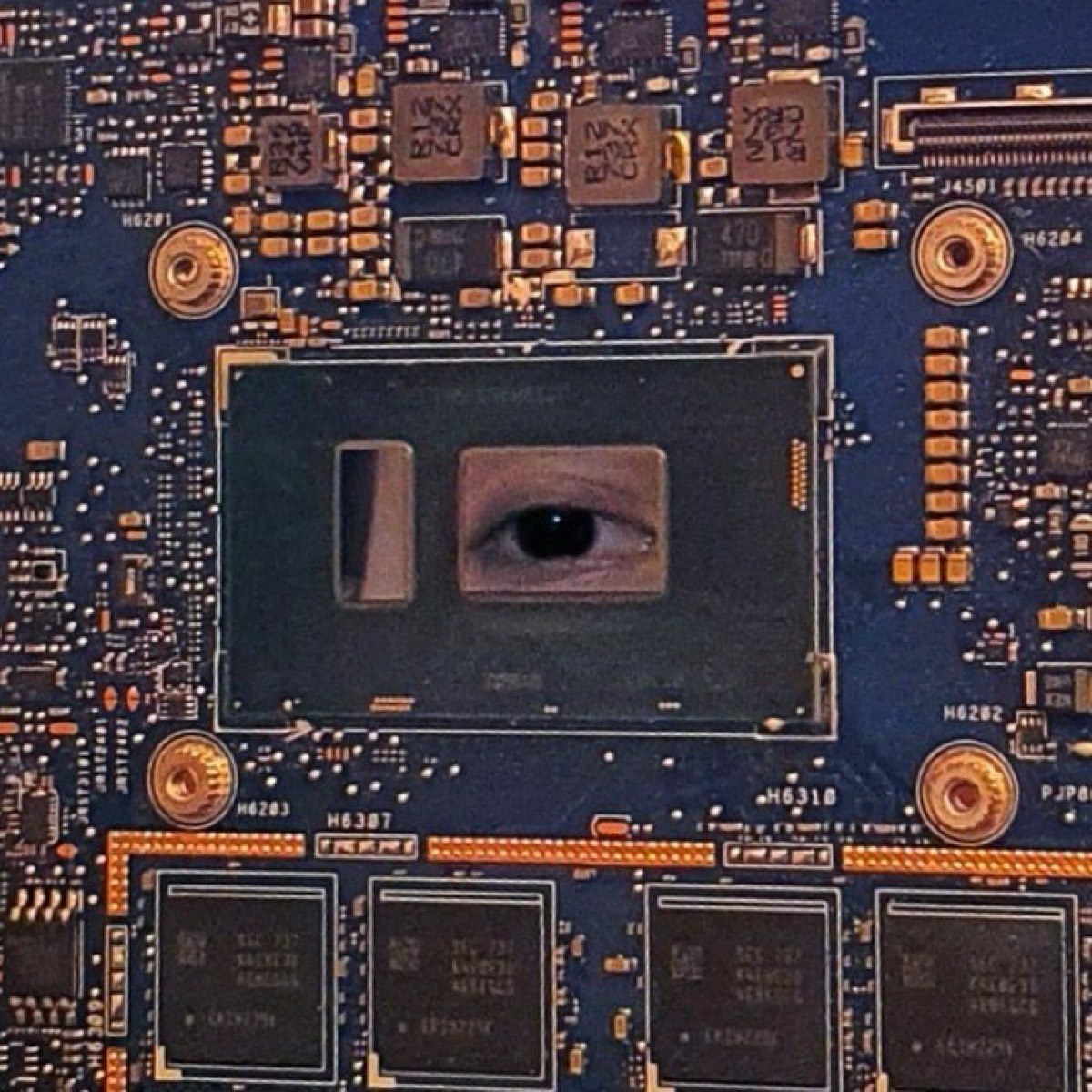 Арина Захарова | Сетка — социальная сеть от hh.ru