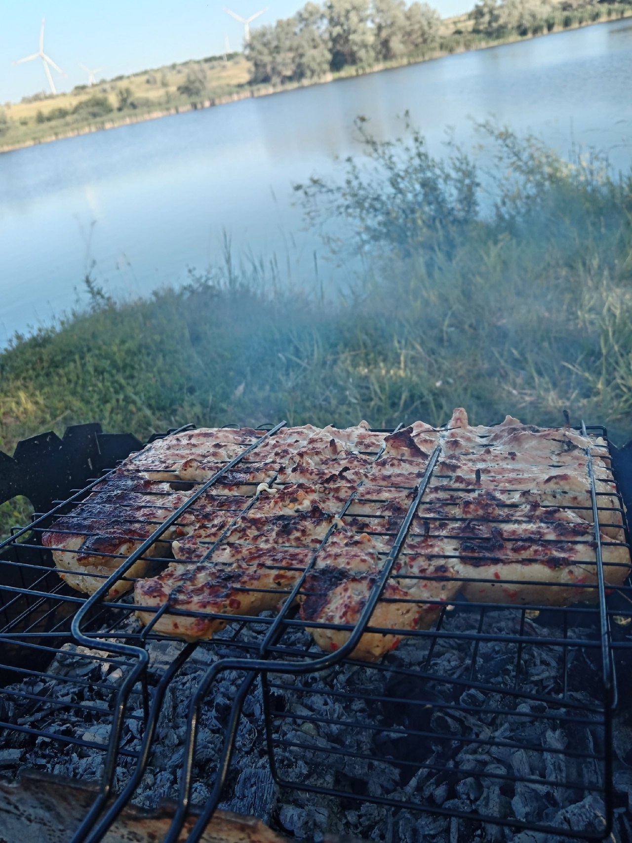 Добрый день! Только что приехал домой, и хочу поделиться с вами фото моей вчерашней рыбалки. Нет-нет-нет, это не хищник, как вы привыкли видеть, а толстолобик | Сетка — социальная сеть от hh.ru