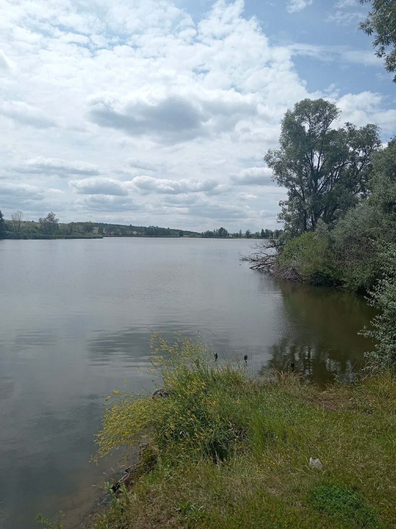 Добрый день! Только что приехал домой, и хочу поделиться с вами фото моей вчерашней рыбалки. Нет-нет-нет, это не хищник, как вы привыкли видеть, а толстолобик | Сетка — социальная сеть от hh.ru