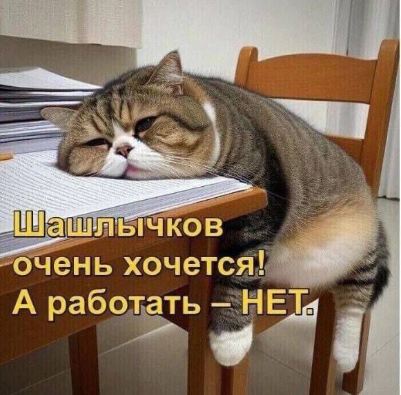 Доброе утро, ставропольцы! | Сетка — социальная сеть от hh.ru