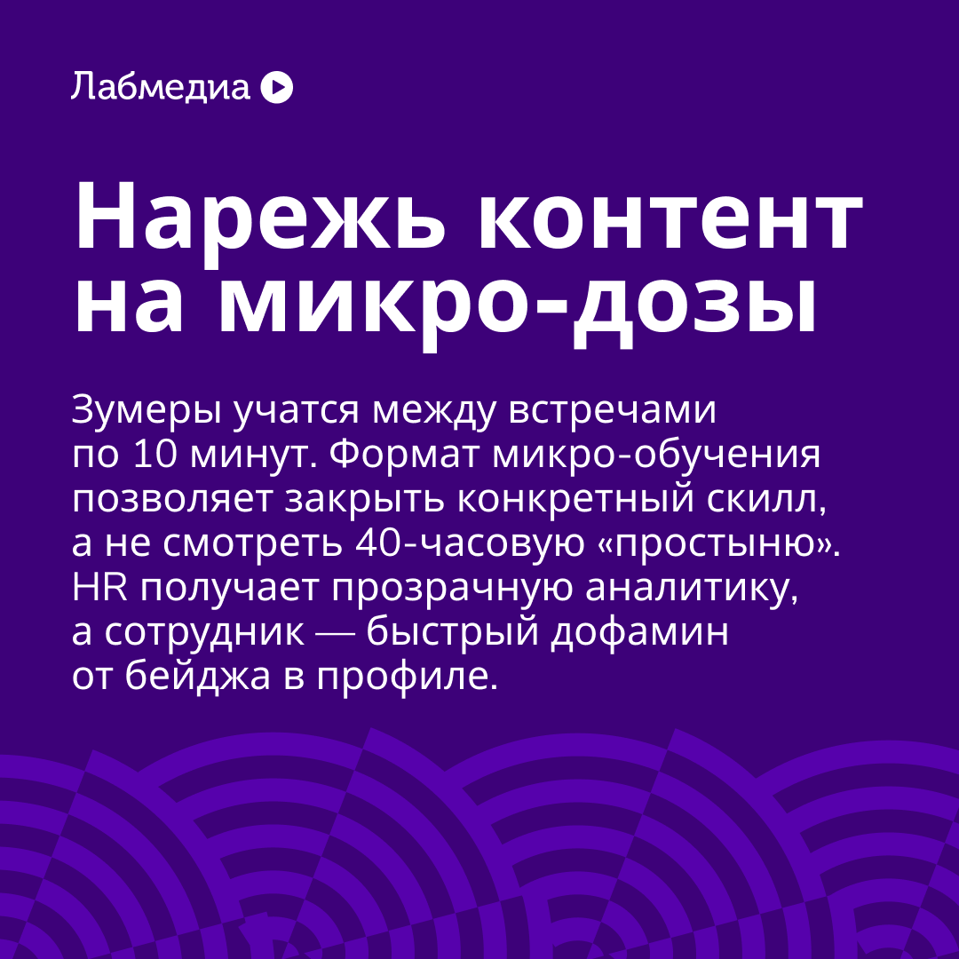 ⚡️ Вписывайся в будущее EdTech и не будь динозавром | Сетка — социальная сеть от hh.ru