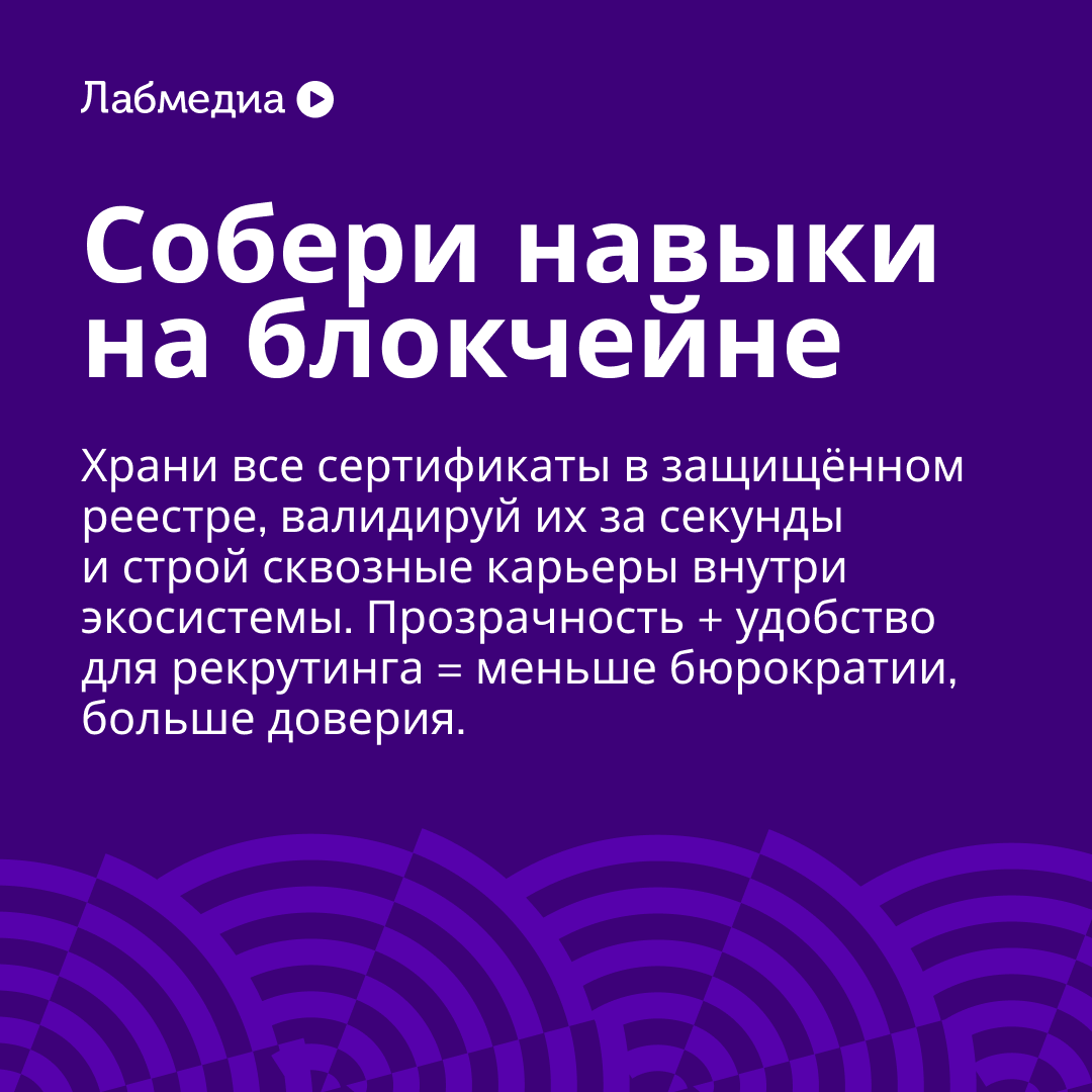 ⚡️ Вписывайся в будущее EdTech и не будь динозавром | Сетка — социальная сеть от hh.ru