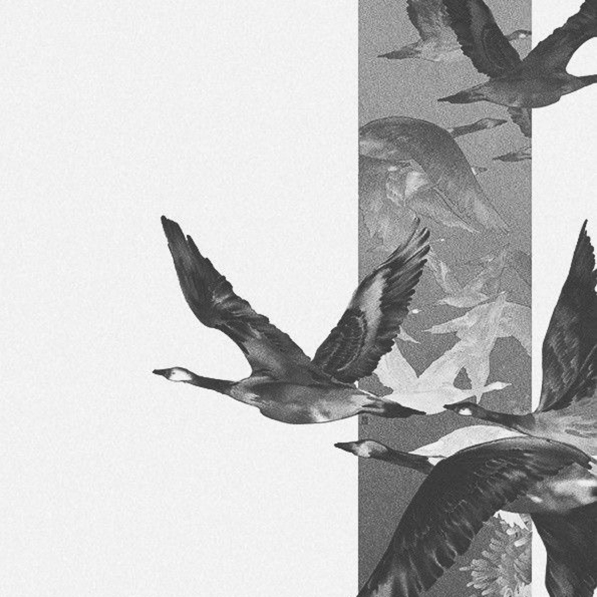 Максим Бобков | Сетка — социальная сеть от hh.ru