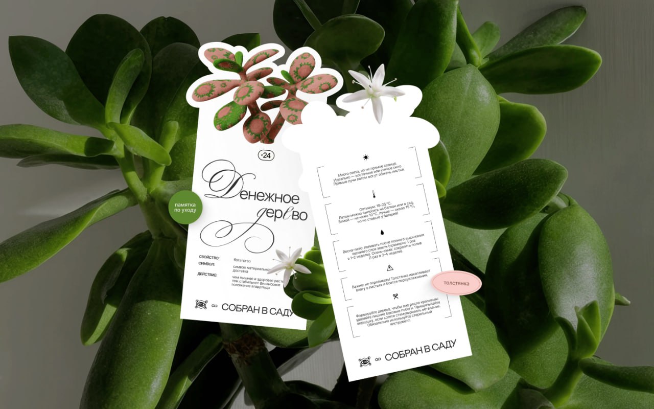 Симпатичная графика для виртуальной выставки про суеверия «Суеверник».
Свист, денежное дерево, чёрная кошка (особое внимание на прикрепленное видео), просыпанная соль, присесть на дорожку и т.д | Сетка — социальная сеть от hh.ru