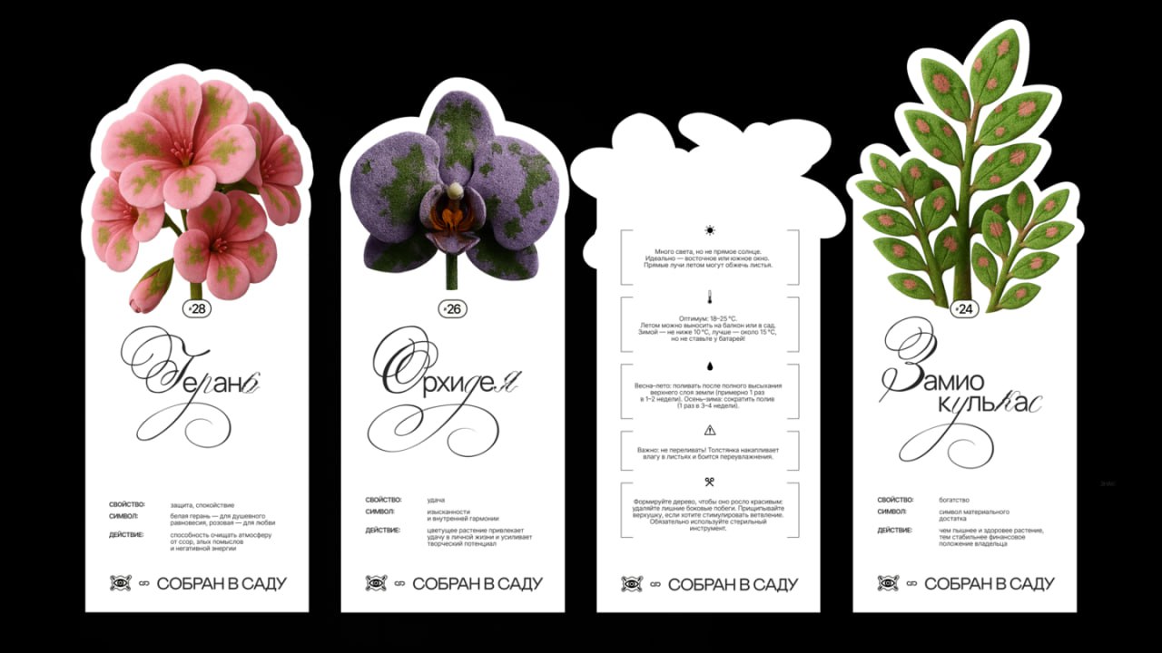 Симпатичная графика для виртуальной выставки про суеверия «Суеверник».
Свист, денежное дерево, чёрная кошка (особое внимание на прикрепленное видео), просыпанная соль, присесть на дорожку и т.д | Сетка — социальная сеть от hh.ru