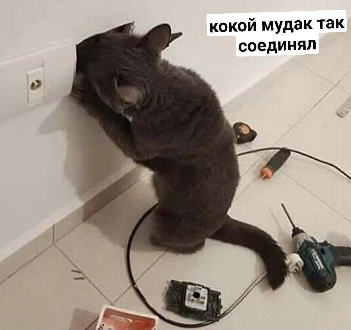 Это Егор кстати | Сетка — социальная сеть от hh.ru