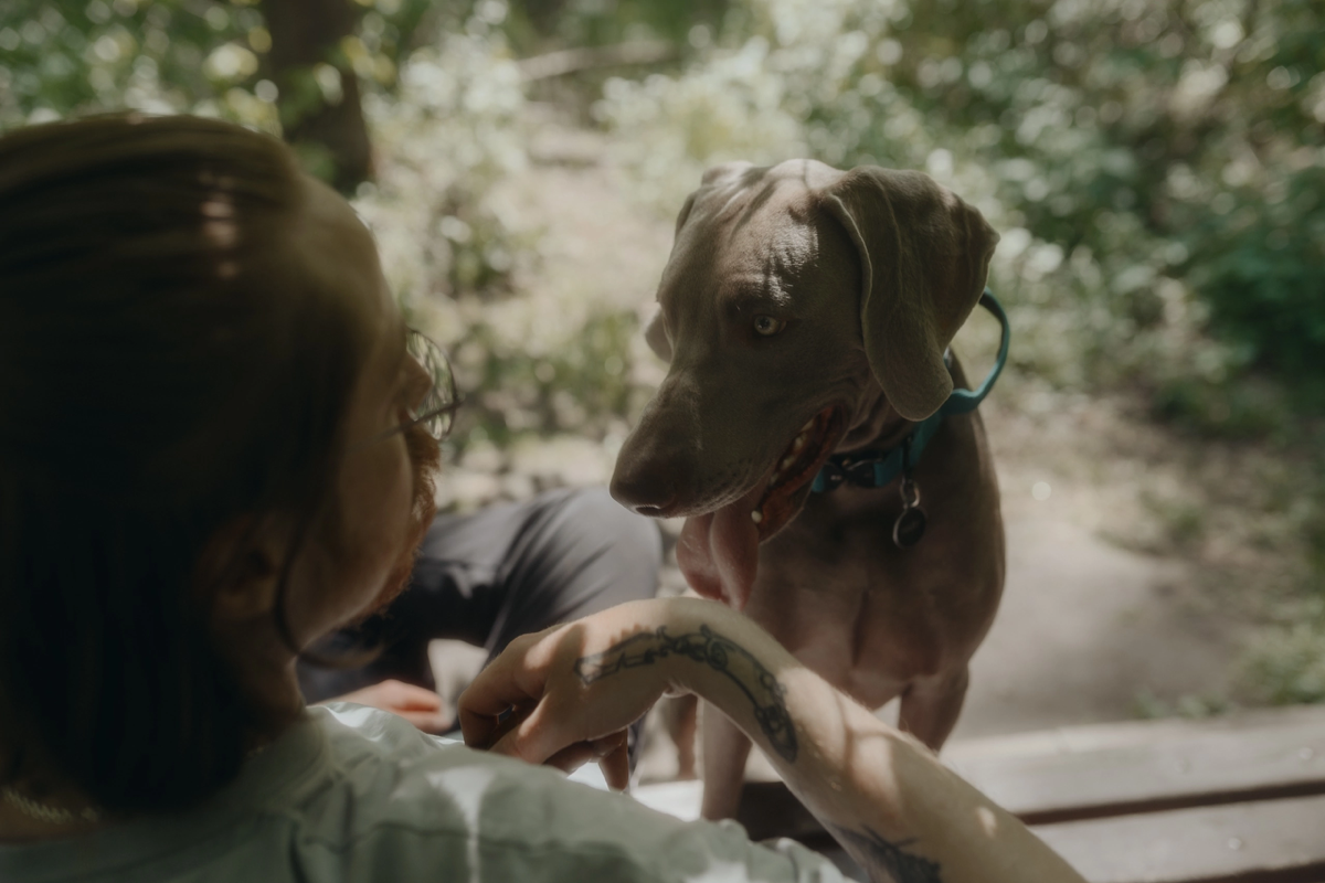 Фотограф в Москве | Сетка — социальная сеть от hh.ru