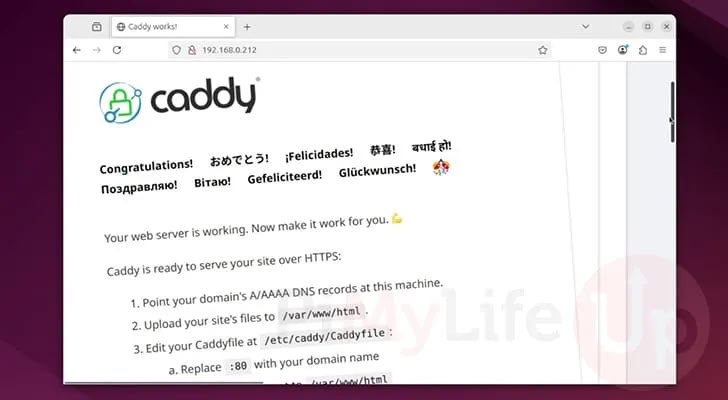 Попробовал модный веб-сервер Caddy вместо Nginx.
Обычно в архитектуре проектов я использую голый NGINX | Сетка — социальная сеть от hh.ru