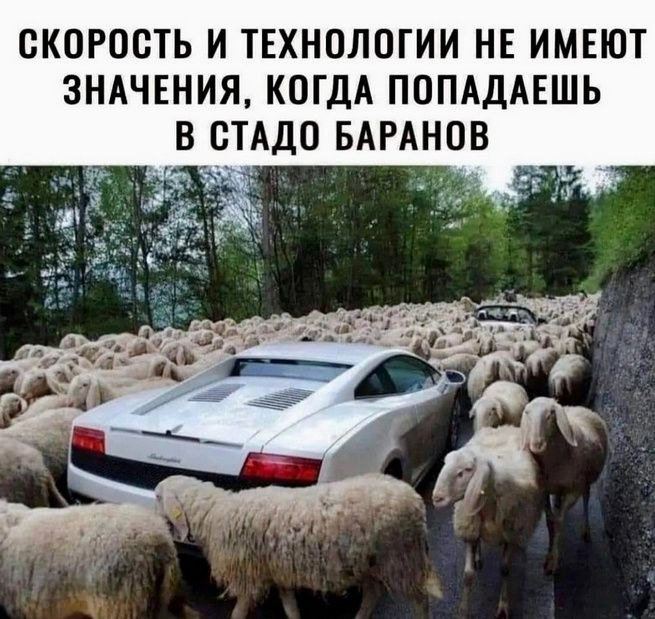 Илон Маск | Сетка — социальная сеть от hh.ru