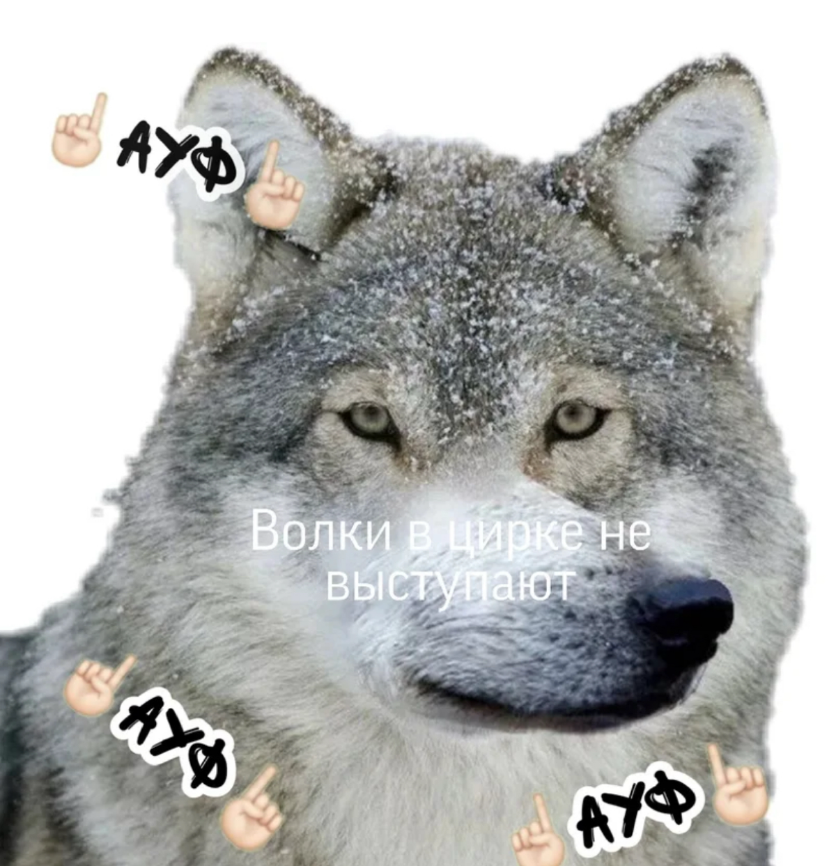 comment image