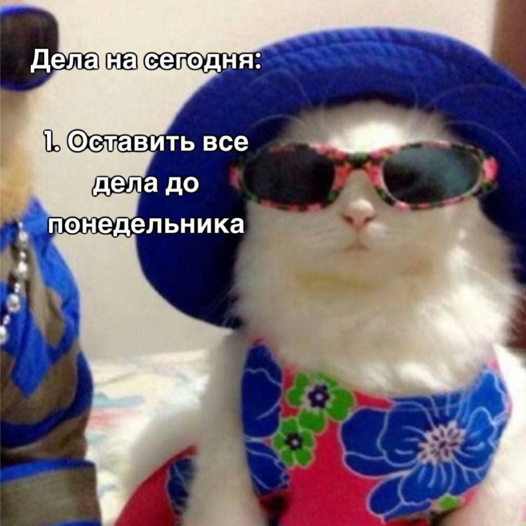 Не мы? 😒 | Сетка — социальная сеть от hh.ru