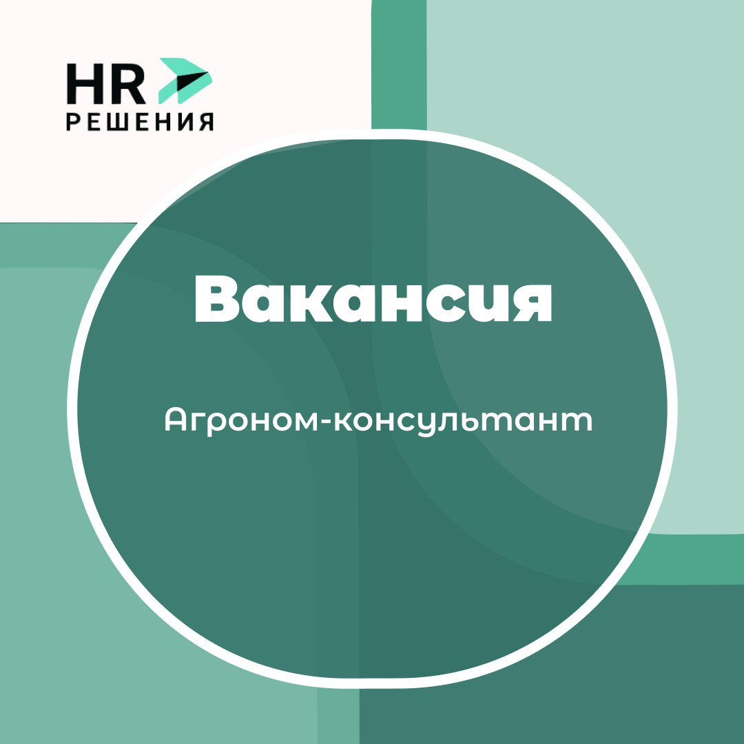 📌Рубрика актуальные вакансии | Сетка — социальная сеть от hh.ru