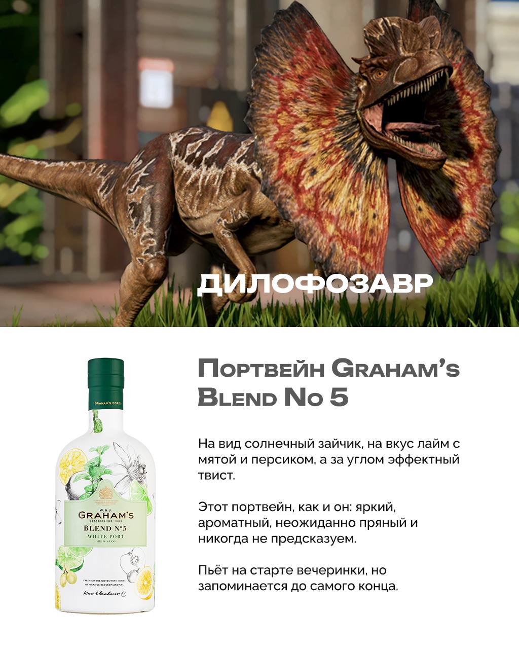 Алкодино
Я уже писала, что важно знать, какой ты динозавр. От этого буквально зависит, что ты пьёшь.
Это юрская логика.
Вот, например, я велоцираптор. Быстрая, блестящая и всегда с пузырьками | Сетка — социальная сеть от hh.ru