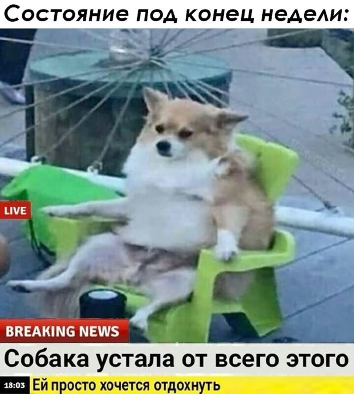 Труженики! 🐝
Сегодня пятница! Закрываем задачи этой недели и готовимся к выходным! | Сетка — социальная сеть от hh.ru