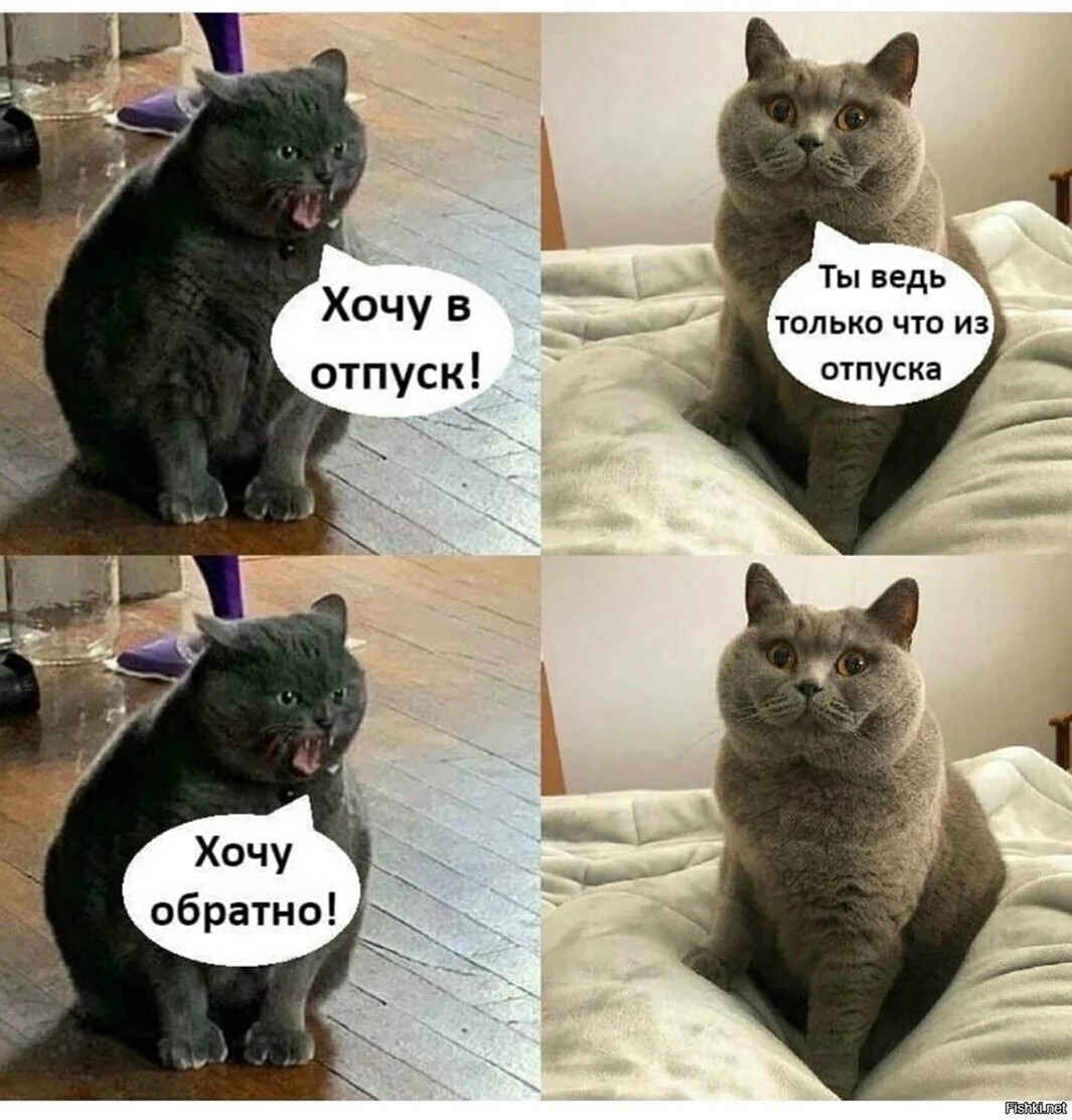 После отпуска: как вернуться в работу без стресса | Сетка — социальная сеть от hh.ru