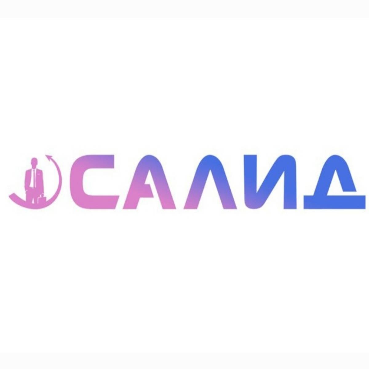 Компания Салид