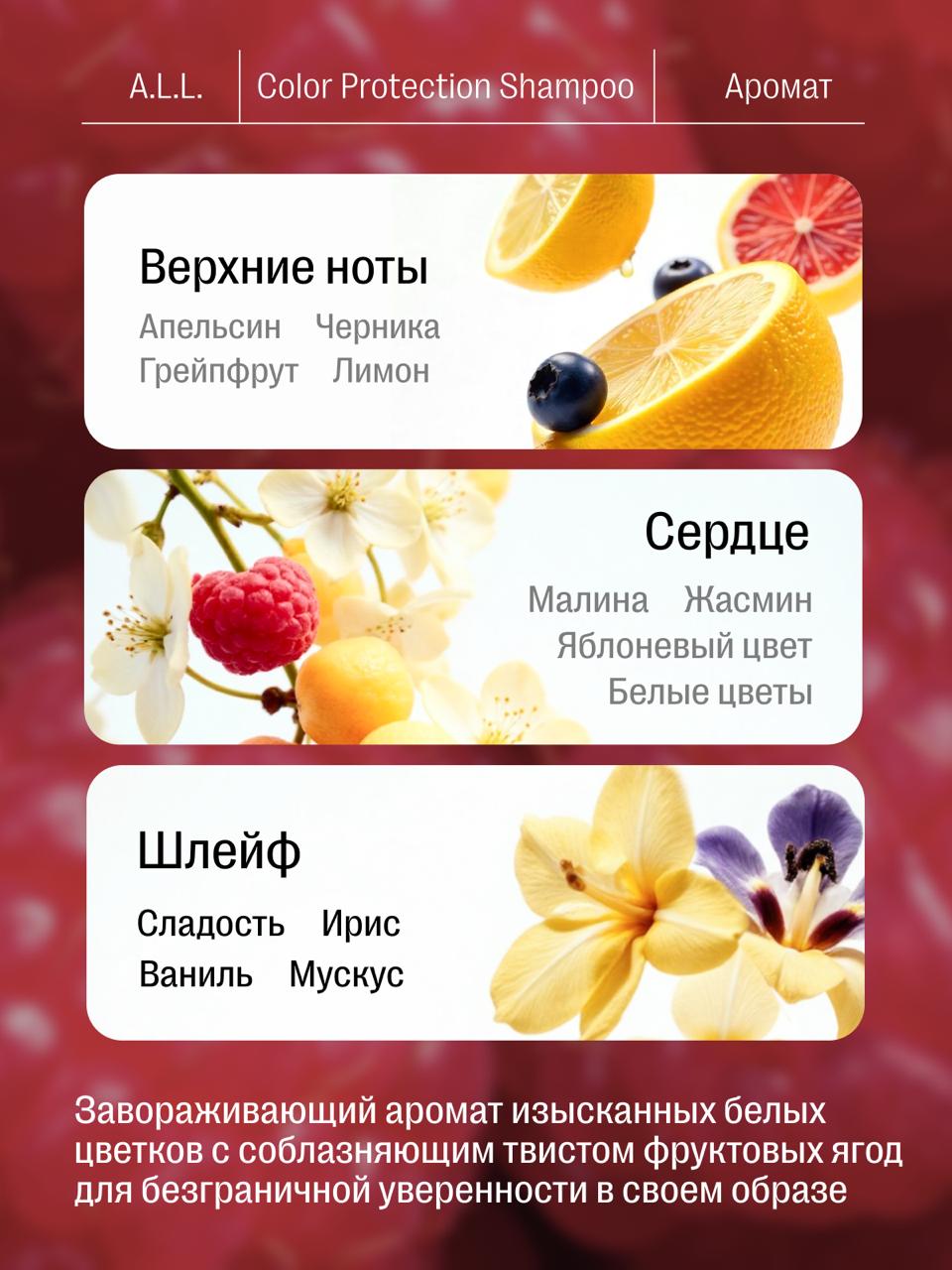 Совершенно не стесняясь, что мы опять пропали надолго – показываем частичку нашего проекта для суббренда SPLAT BIOMIO – A.L.L | Сетка — социальная сеть от hh.ru