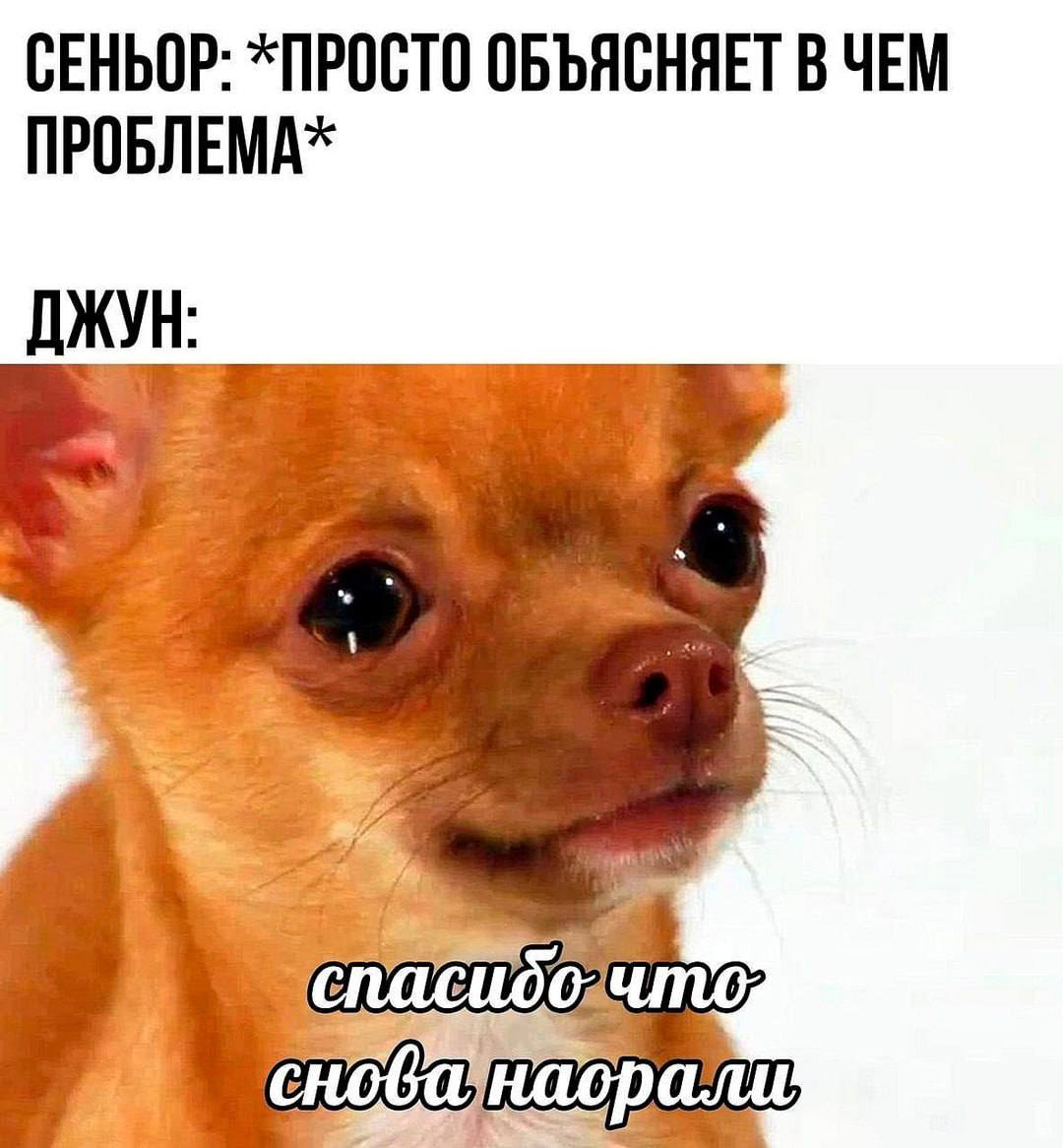 Важность софтов ч.2 | Сетка — социальная сеть от hh.ru