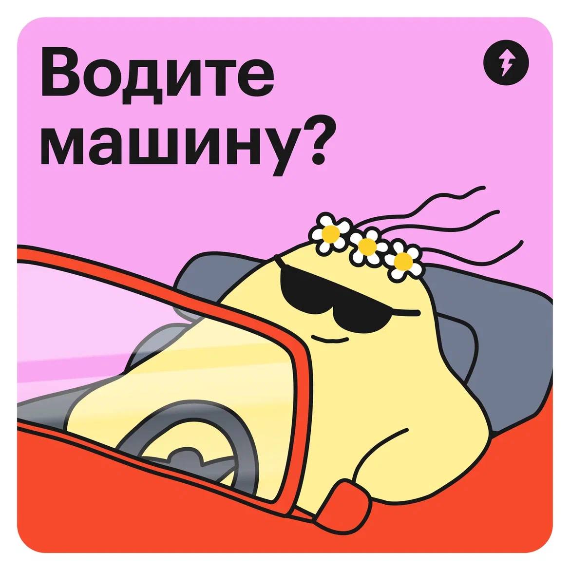 У вас есть водительские права? Легко ли было их получить?
🗿 — нет водительских прав;
🦄 — права есть, но машину не вожу;
🐳 — есть права и вожу машину | Сетка — социальная сеть от hh.ru