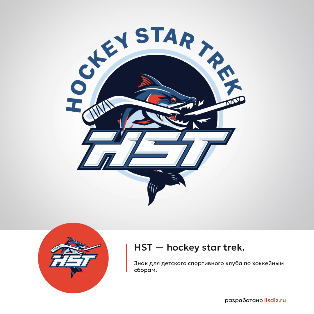 Молнии на льду. Кейс детской хоккейной школы. | Сетка — социальная сеть от hh.ru