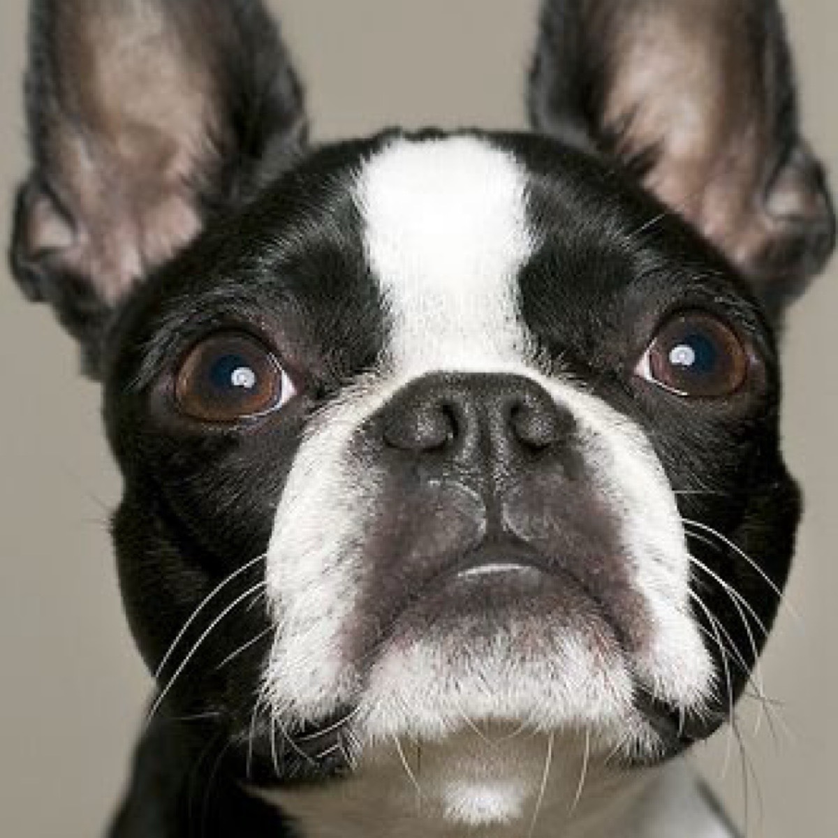 Яна Александровна