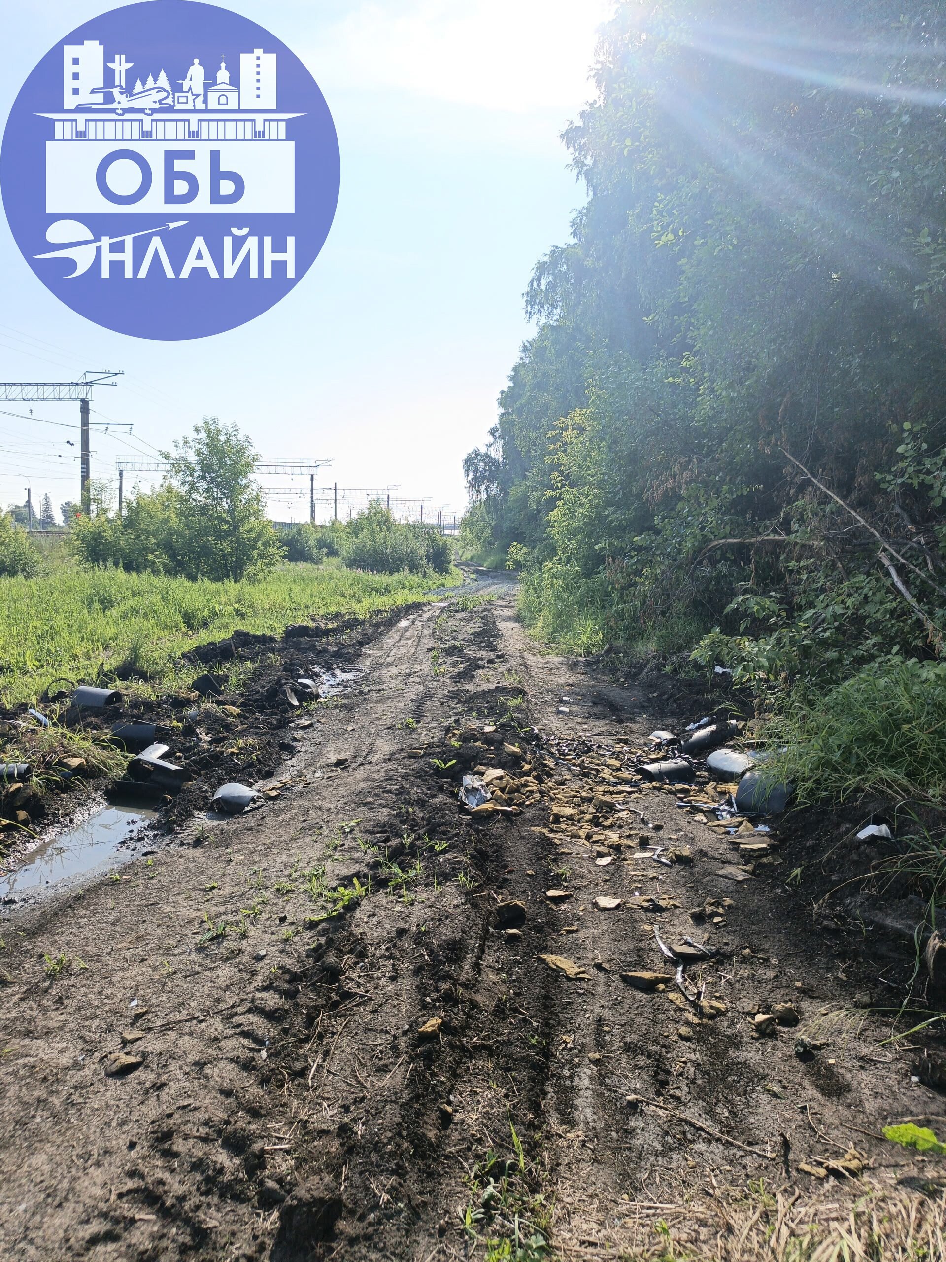 ↗ Уважаемая администрация, хочу задать такой вопрос. Подрядчик проводит работы по ул. Строительной в зоне лесополосы | Сетка — социальная сеть от hh.ru