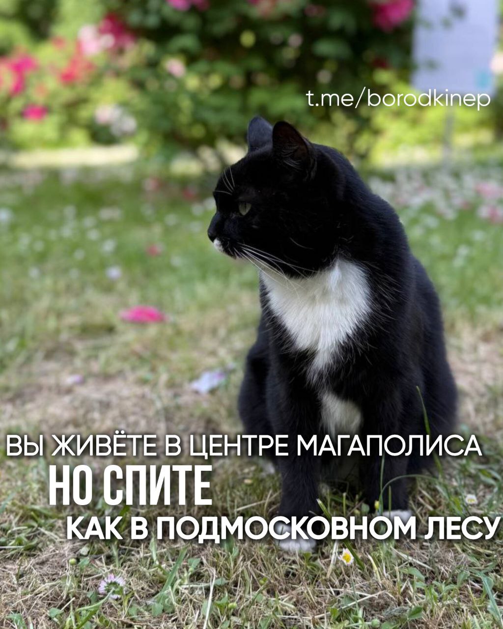 Представьте, вы в центре Москвы, за окном — пульс мегаполиса, но в вашей гостиной царит тишина альпийского шале | Сетка — социальная сеть от hh.ru