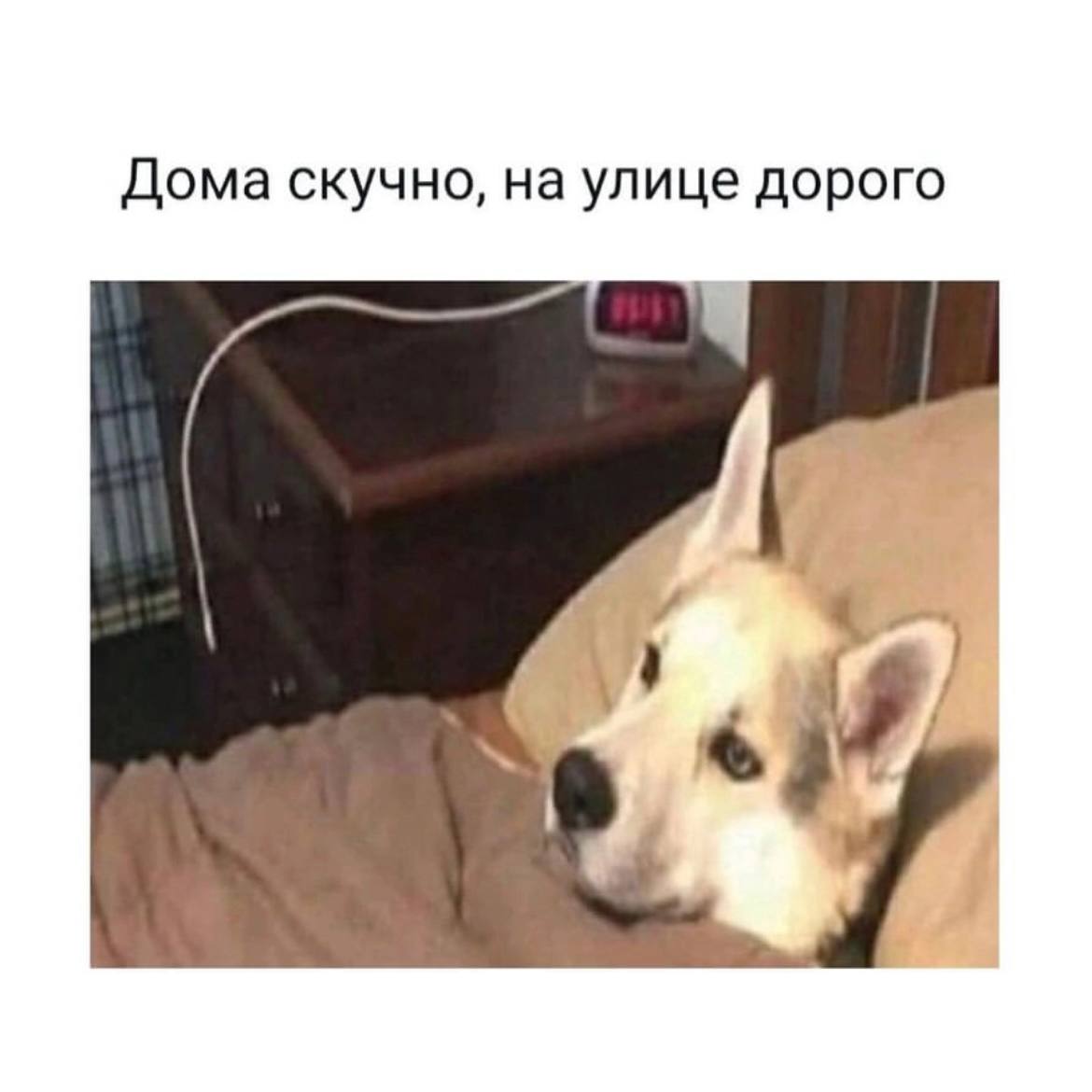 Погадаем?
Какой ты сегодня мем?)
Присылайте в комментах ответы и совпало ли 😂 | Сетка — социальная сеть от hh.ru