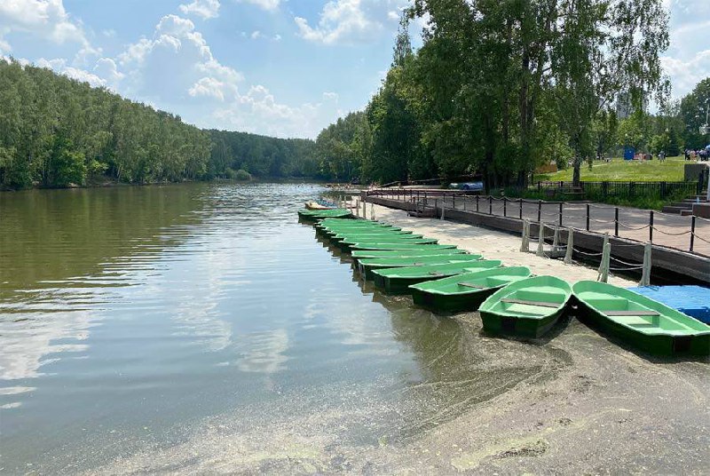 💦На данный момент в Москве только 4 зоны признали пригодными для отдыха с купанием:
📍Озеро «Белое»
📍Мещерское
📍Пионерский пруд
📍Тропарево
📲Подпишитесь на Вдвижении
#бесплатно
В этом посте были ссылки,... | Сетка — социальная сеть от hh.ru