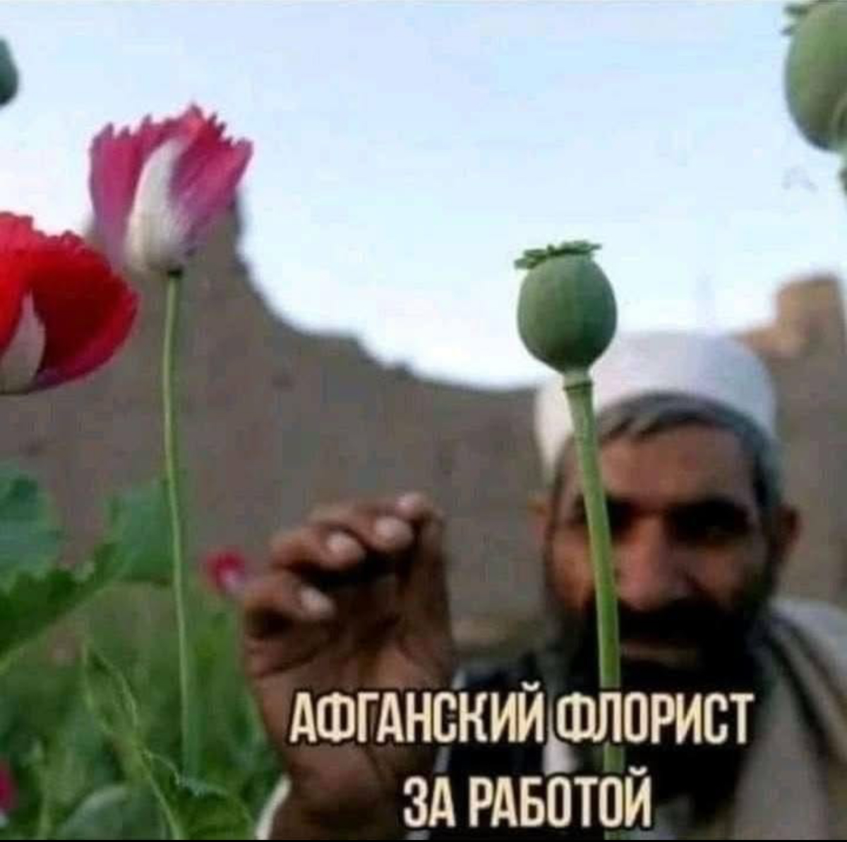 🤩 Привет дачникам 🏡 | Сетка — социальная сеть от hh.ru