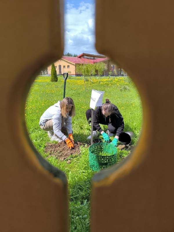 💚 Поездка в Шередарь: продолжая дело Валерии Дворцевой.
🗓 Недавно команда ВИЗАВИ посетила реабилитационный лагерь Шередарь | Сетка — социальная сеть от hh.ru
