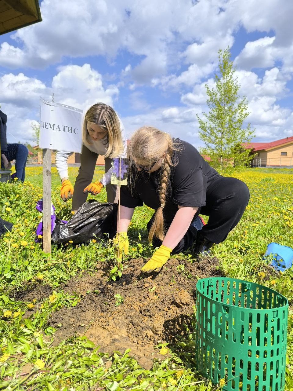 💚 Поездка в Шередарь: продолжая дело Валерии Дворцевой.
🗓 Недавно команда ВИЗАВИ посетила реабилитационный лагерь Шередарь | Сетка — социальная сеть от hh.ru