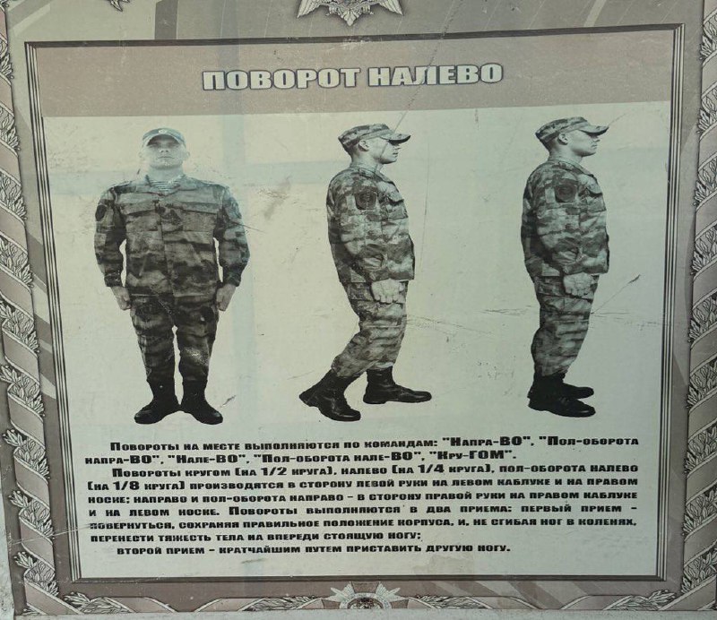 Армейка нужна хотя бы для того, чтобы научить человека ходить не только прямо | Сетка — социальная сеть от hh.ru