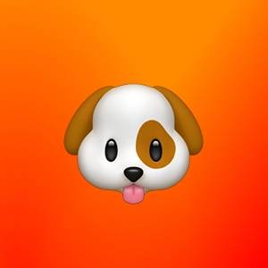 Абдугаффор Хасанов | Сетка — социальная сеть от hh.ru