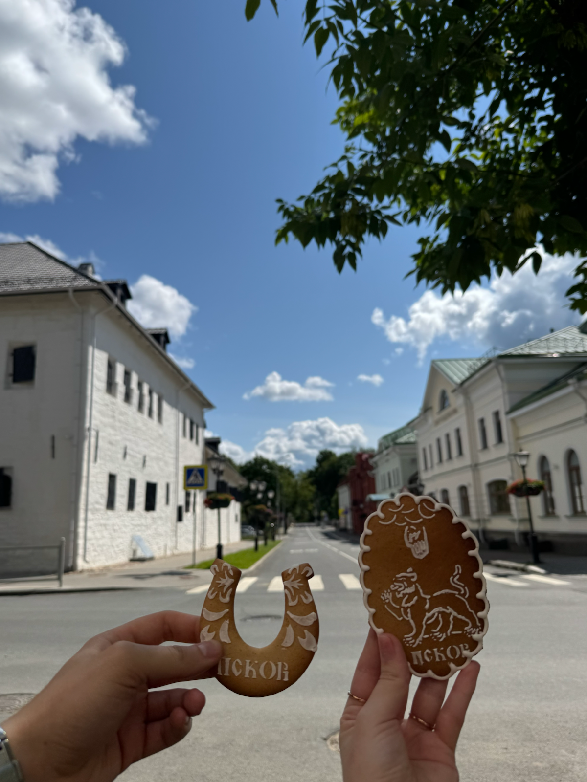 Это как гулять в сказке | Сетка — социальная сеть от hh.ru