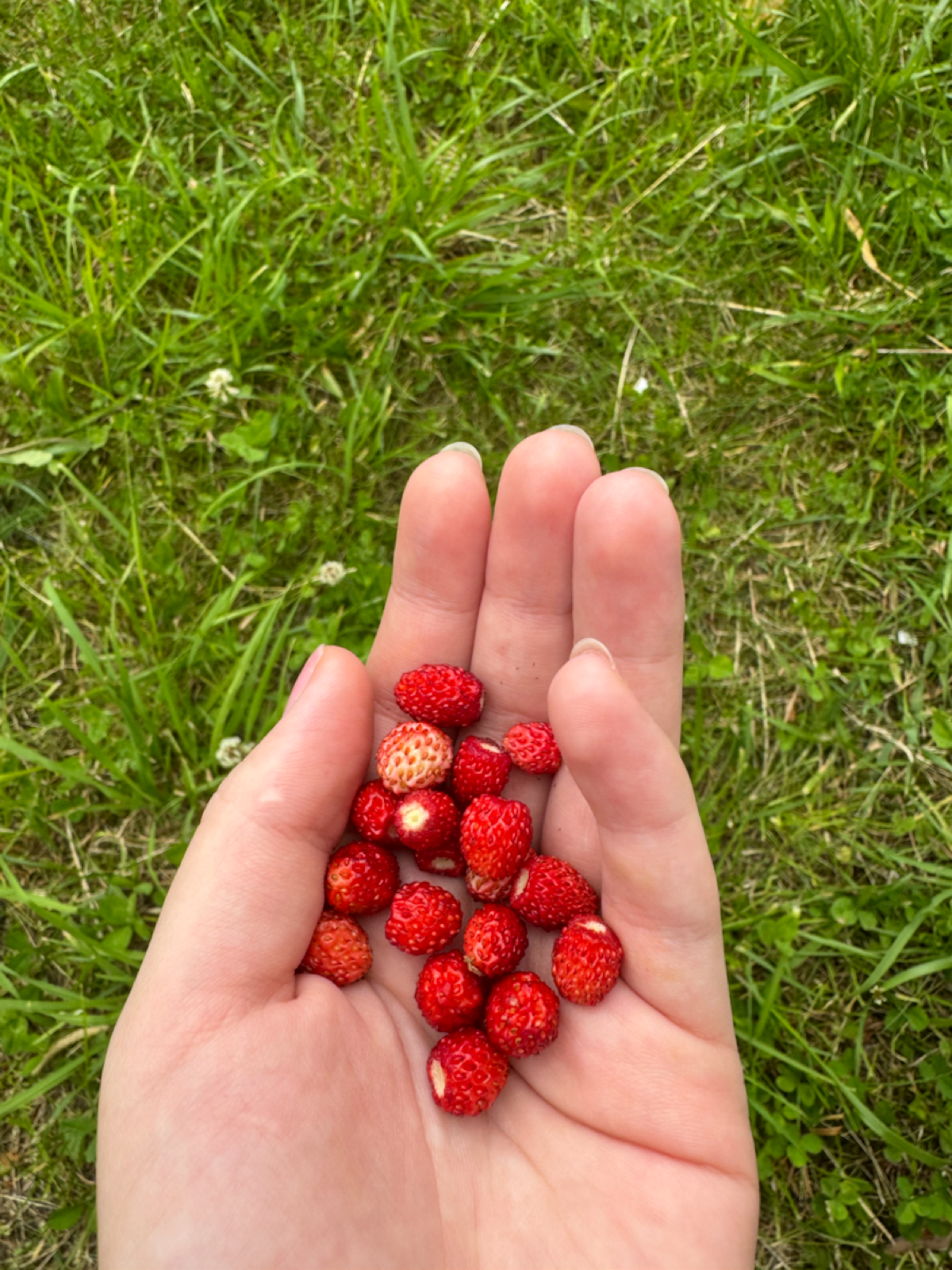 Это как гулять в сказке | Сетка — социальная сеть от hh.ru