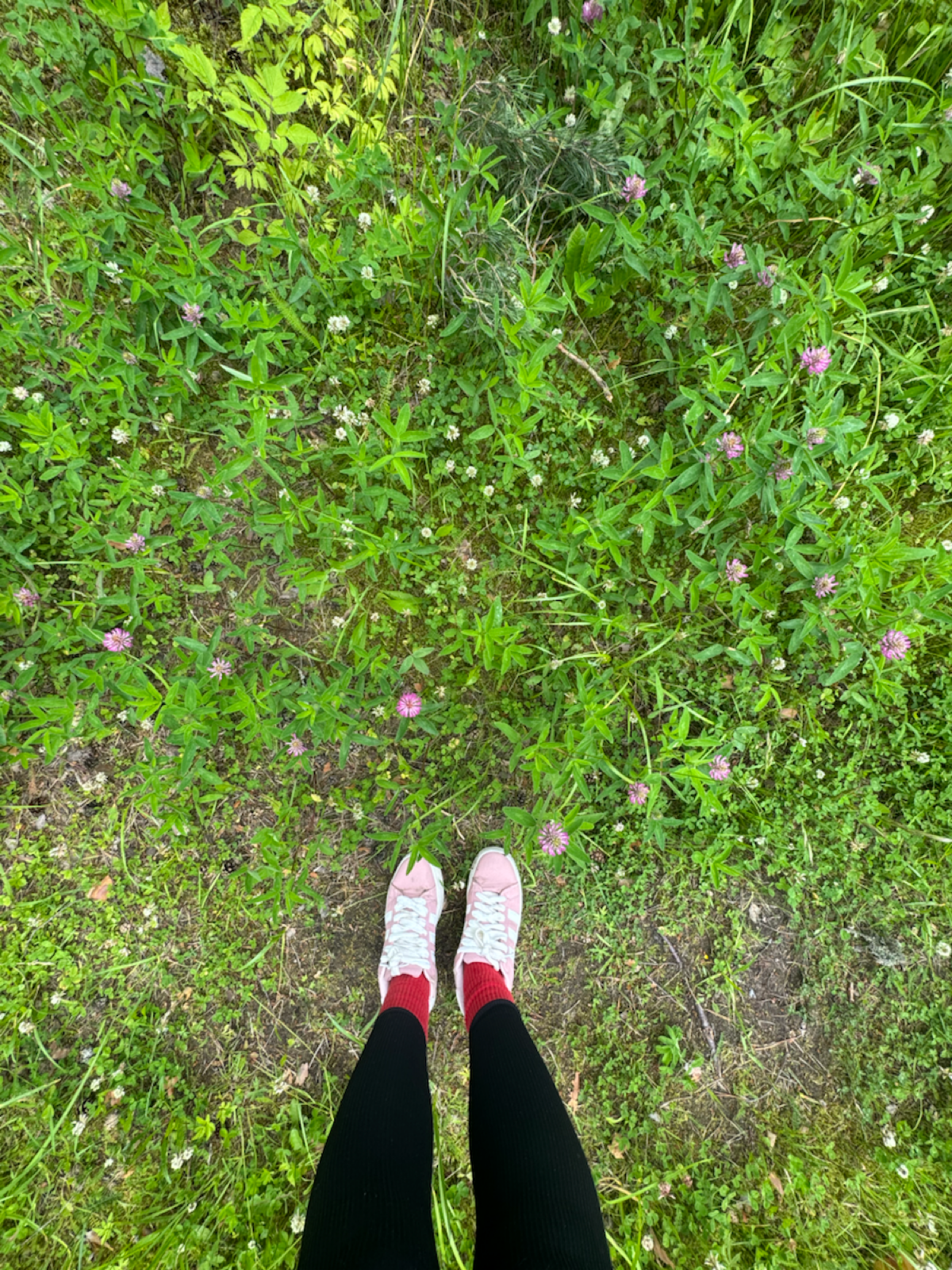 Это как гулять в сказке | Сетка — социальная сеть от hh.ru