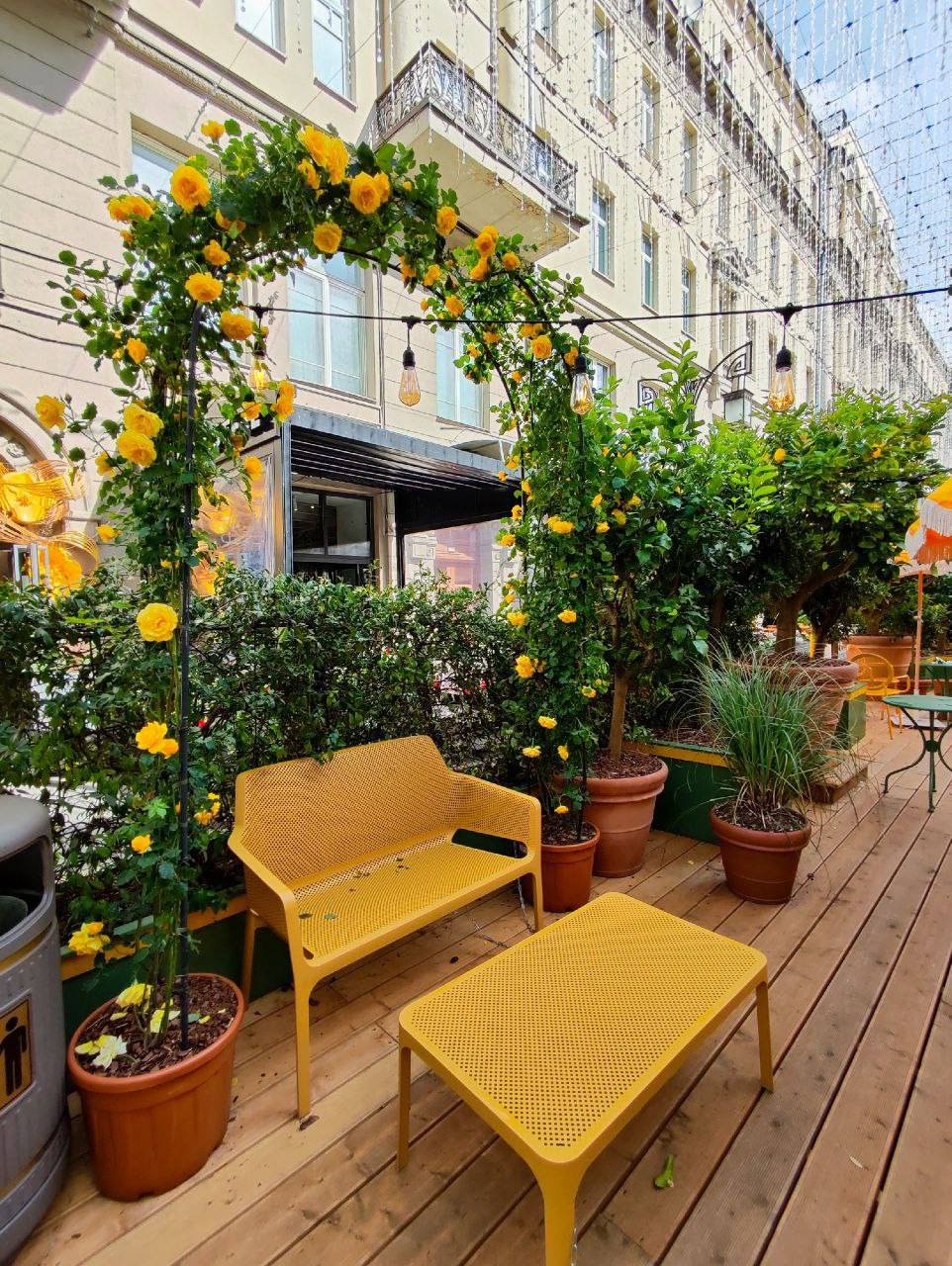 🍋 Лимонный сад в центре Москвы
До 7 сентября
Настоящийсад с лимонами, желтыми розами и кафе «вырос» в Камергерском переулке
📍Камергерский переулок
📲Подпишитесь на Вдвижении
#бесплатно
В этом посте был... | Сетка — социальная сеть от hh.ru