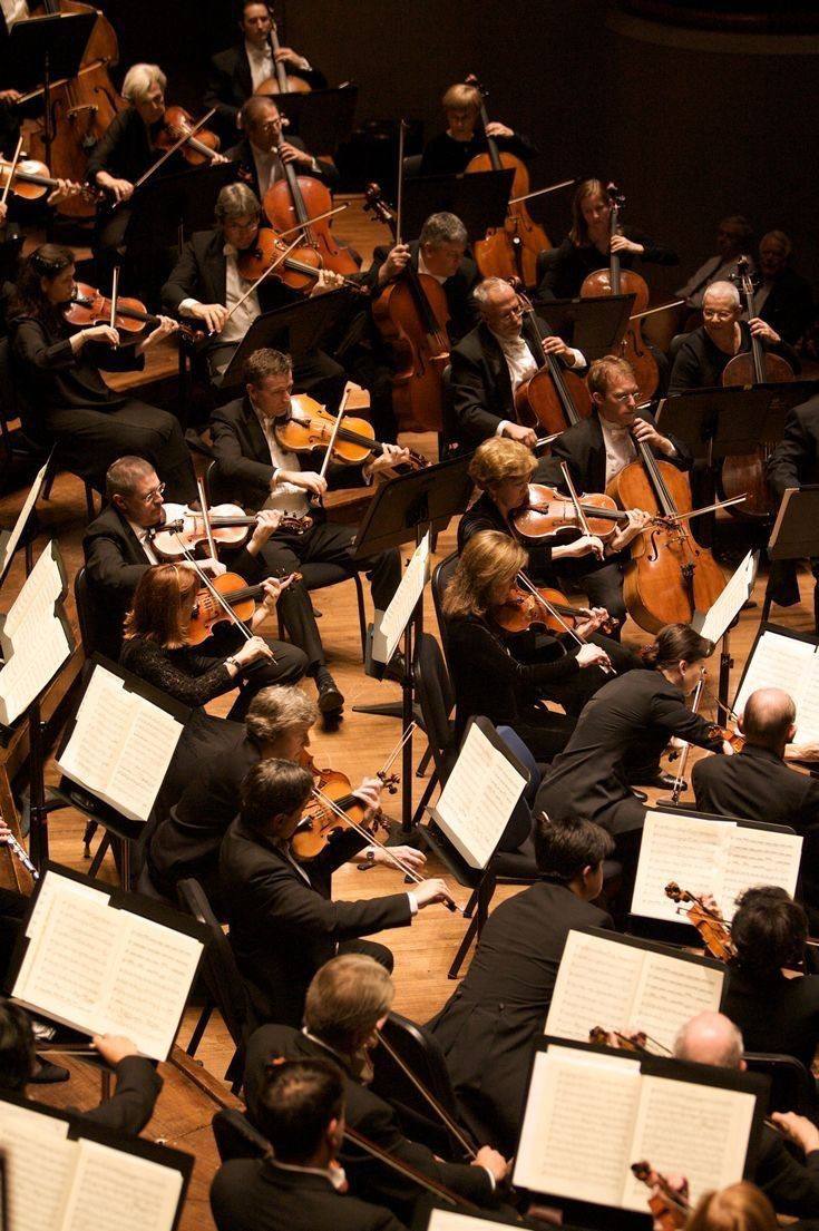 🎻Сегодня в Коломенском пройдет концерт малого симфонического оркестра
6 июля 19:00–21:00
В исполнении симфонического оркестра прозвучат произведения, которые прославили русскую академическую музыку на... | Сетка — социальная сеть от hh.ru