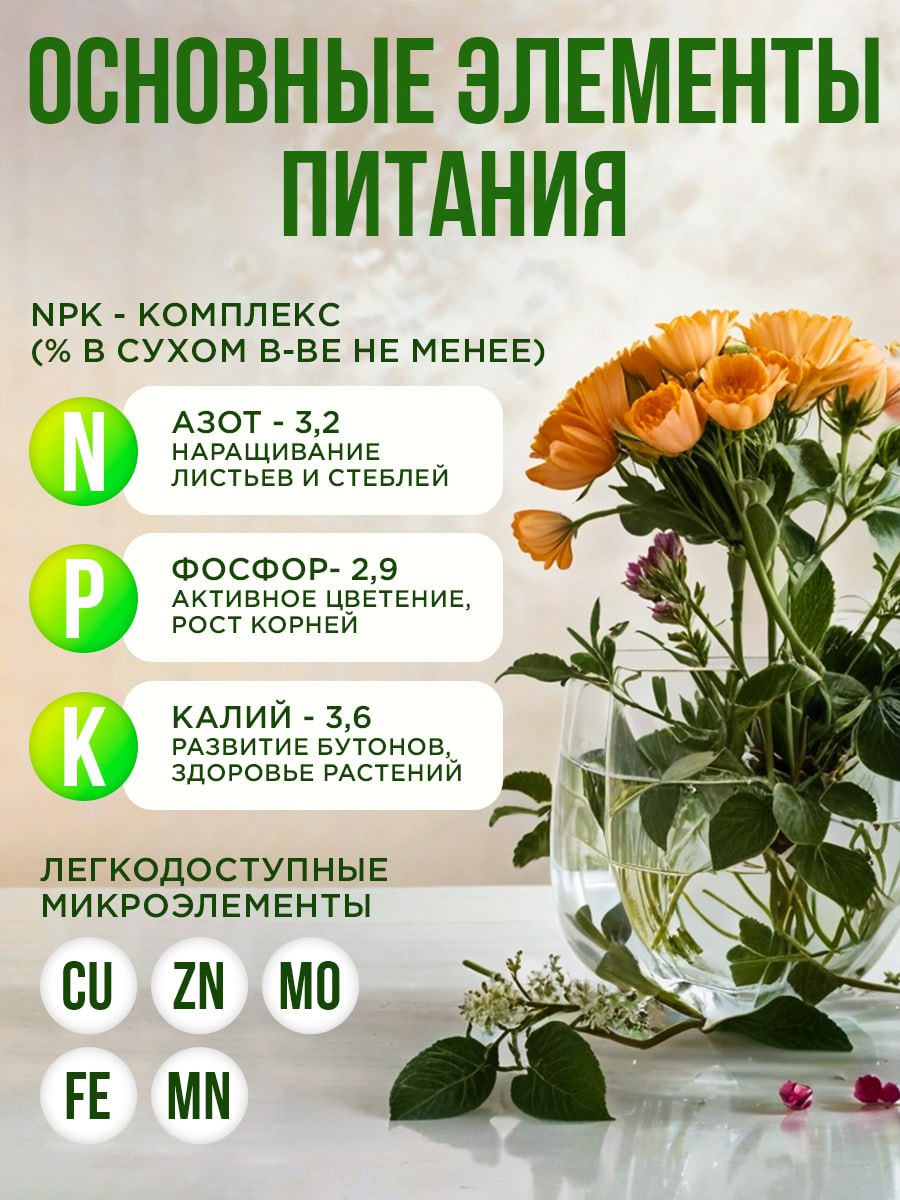#Кейс #Инфографика
🍀🍀🍀Летний уход за растениями: дизайн, который цветет
Лето — время, когда даже комнатные растения будто оживают! И чтобы поддержать это настроение, я создала воздушную инфографику по... | Сетка — социальная сеть от hh.ru