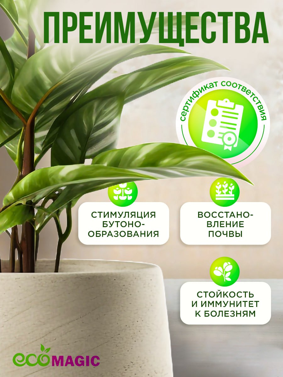 #Кейс #Инфографика
🍀🍀🍀Летний уход за растениями: дизайн, который цветет
Лето — время, когда даже комнатные растения будто оживают! И чтобы поддержать это настроение, я создала воздушную инфографику по... | Сетка — социальная сеть от hh.ru
