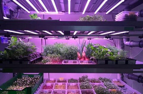 Привет, друзья! 👋
Поддержите развитие Сити Фермы MicroGreens from LadyMari донатом! 💚 Вместе мы расскажем большему количеству людей о вкусной и полезной микрозелени | Сетка — социальная сеть от hh.ru