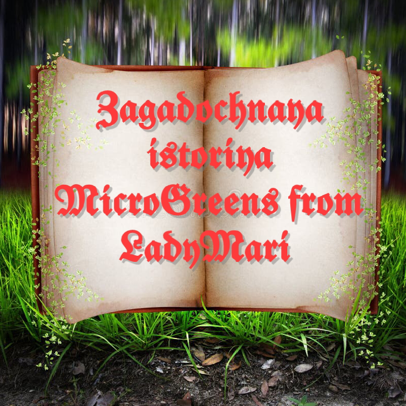 Приветствую вас, мои драгоценные!
Сердце переполняется желанием поделиться с вами сокровенной мечтой – о нашей Сити Ферме MicroGreens from LadyMari🌺 | Сетка — социальная сеть от hh.ru