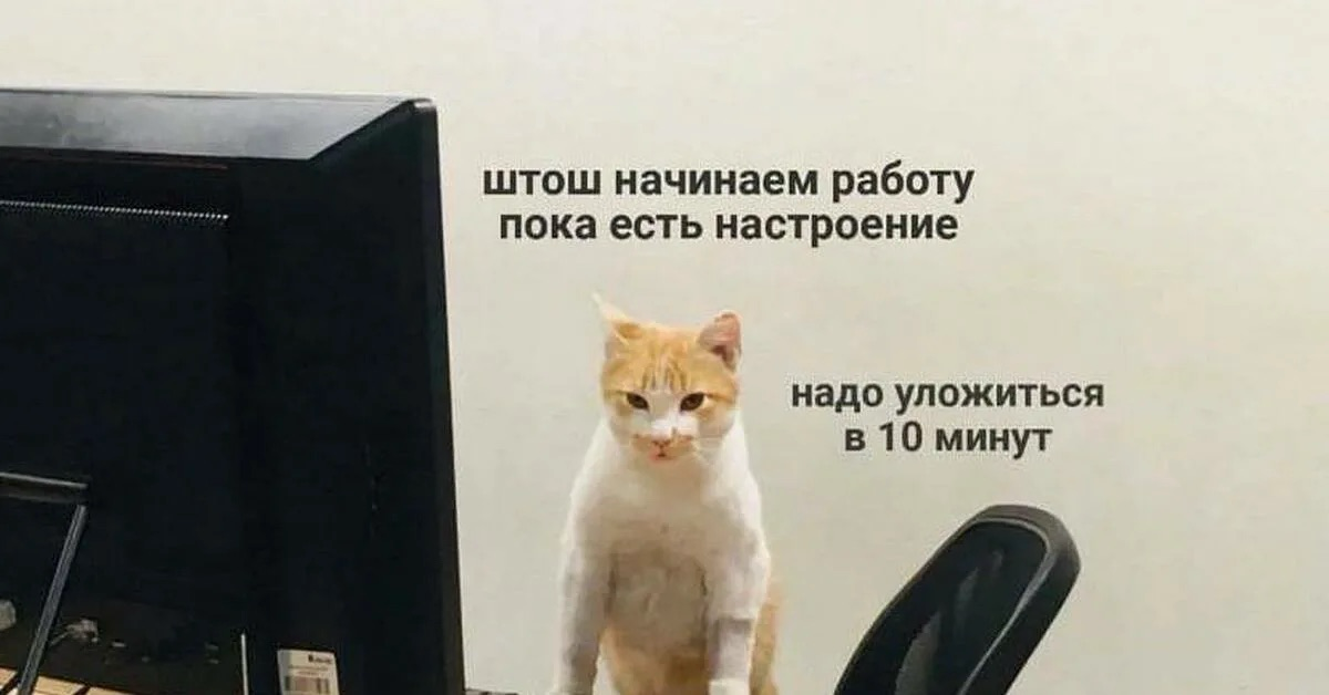 Всем продуктивной недели! | Сетка — социальная сеть от hh.ru