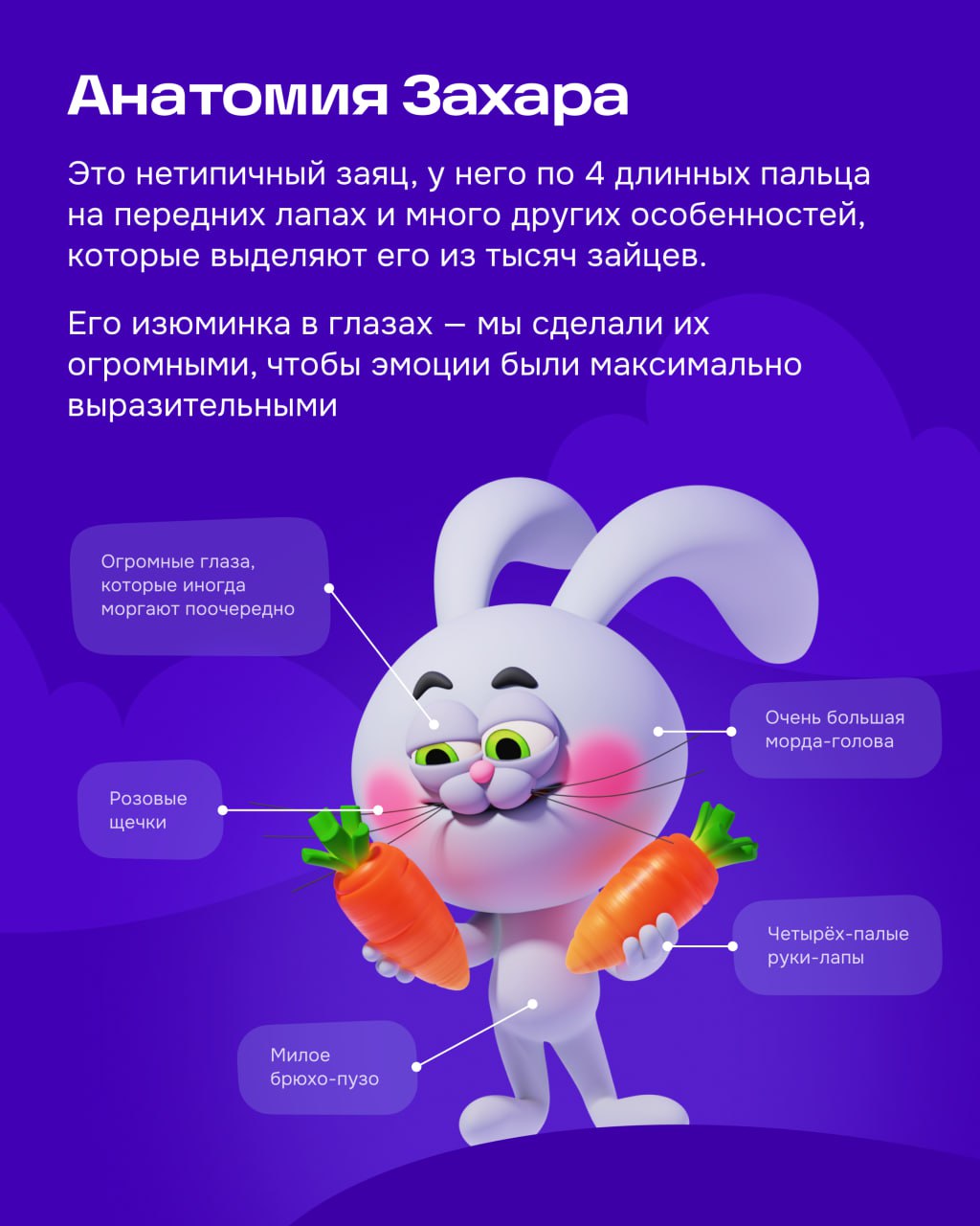 Сегодня расскажу о главном обитателе Морковска — Захаре | Сетка — социальная сеть от hh.ru
