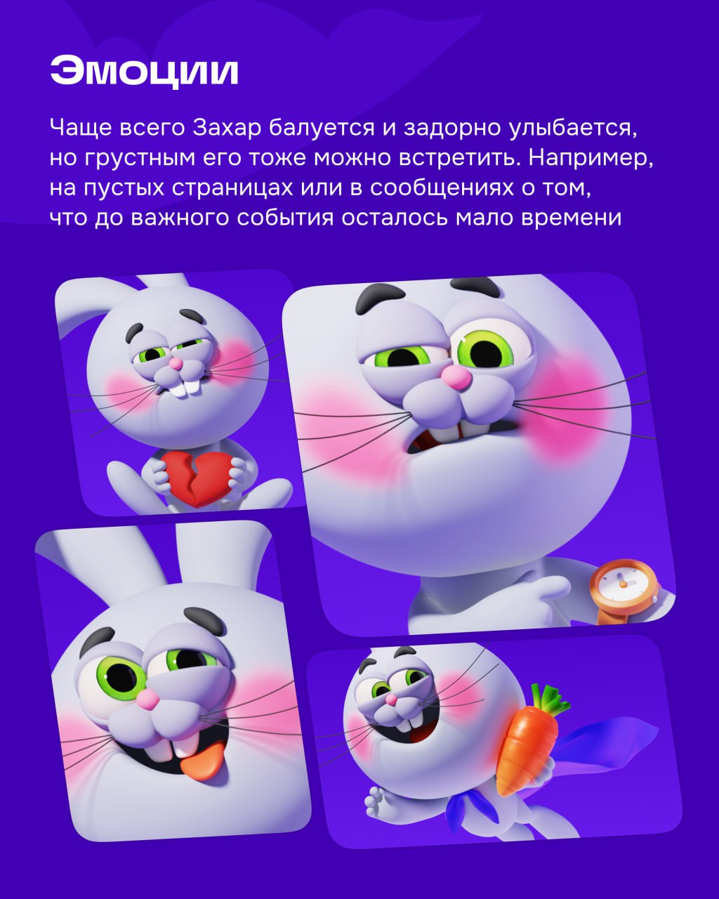 Сегодня расскажу о главном обитателе Морковска — Захаре | Сетка — социальная сеть от hh.ru