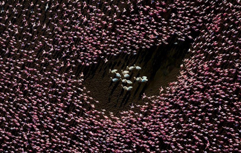 Amazing Winners
The International Aerial Photographer of the Year has announced the winners of its first-ever competition, showcasing the best aerial photography from around the world | Сетка — социальная сеть от hh.ru