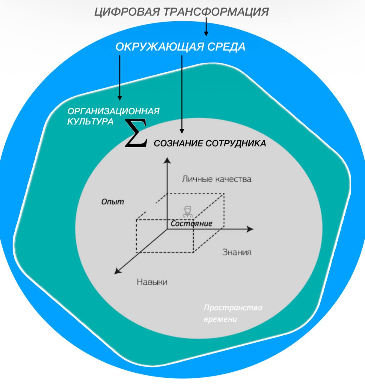 Отличная иллюстрация - наглядно и системно отражены области в которых я провожу расисследования … имею образование + опыт практический:
1. Трансформация Цифровая & ИИ
2 | Сетка — социальная сеть от hh.ru