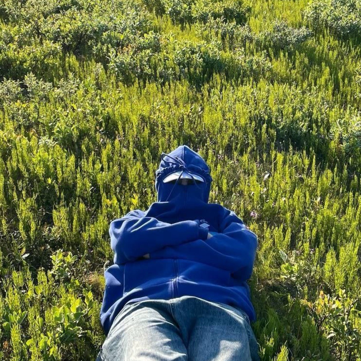 Иван Петров | Сетка — социальная сеть от hh.ru